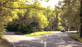 wordnancestaffhurst290